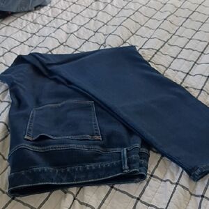 ana jegging size 22w